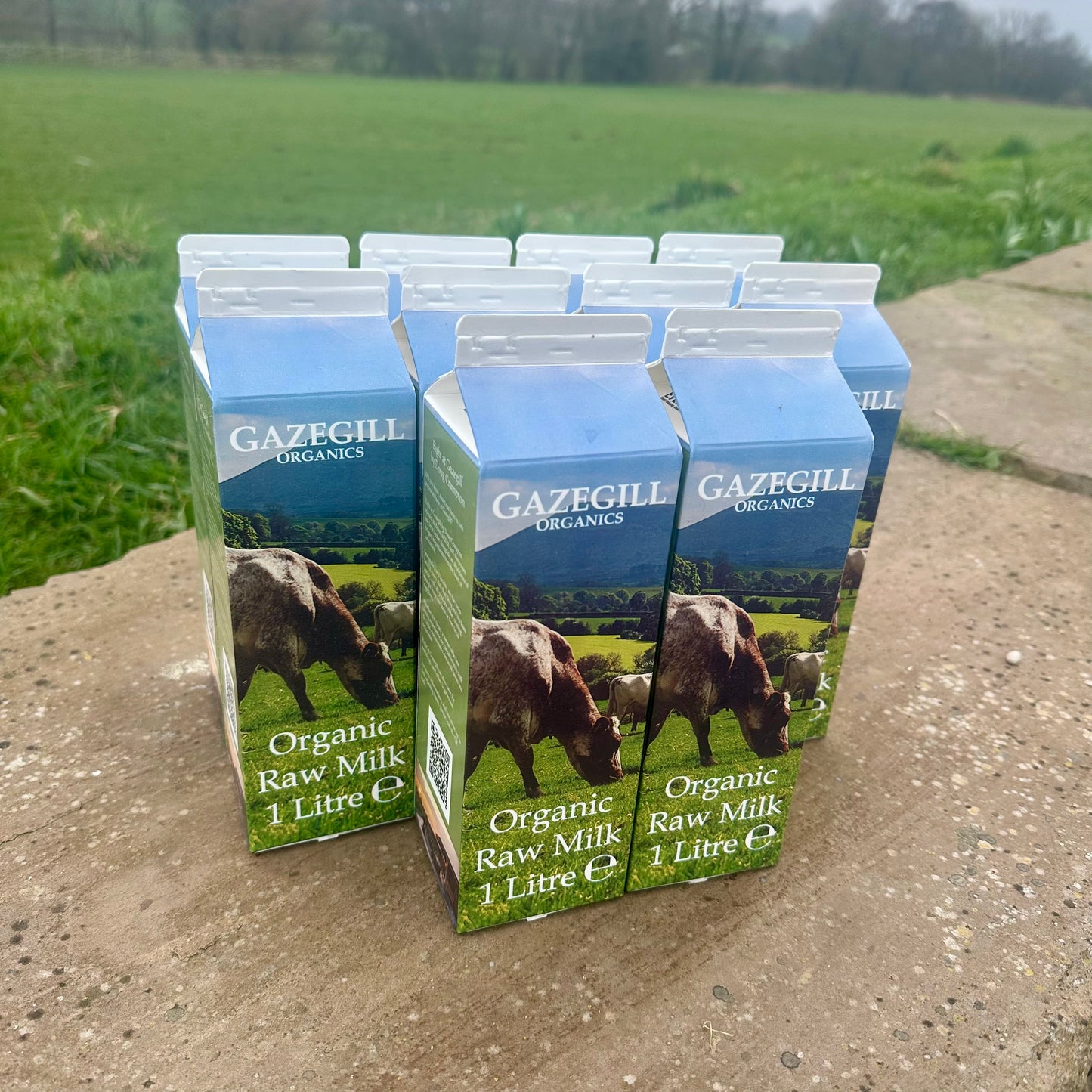 FREE DELIVERY Organic Raw Milk - 10 Litre Package